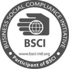BSCI logo